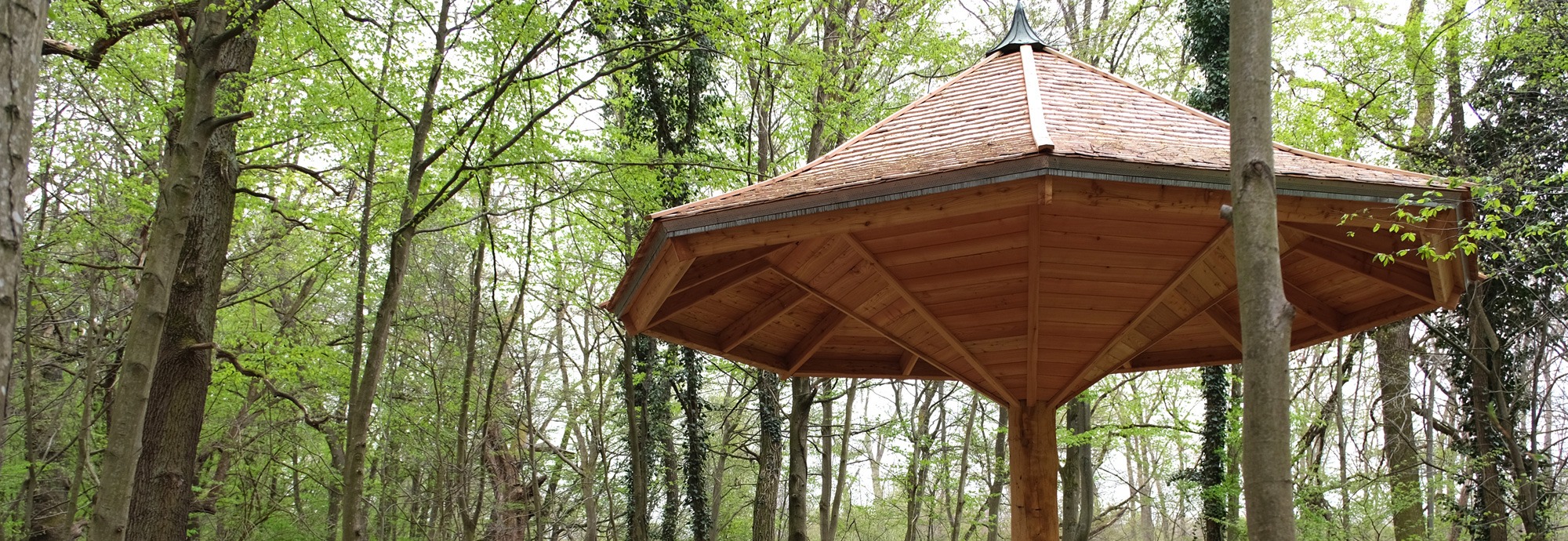 Die 22 Waldbrunnen Darmstadts