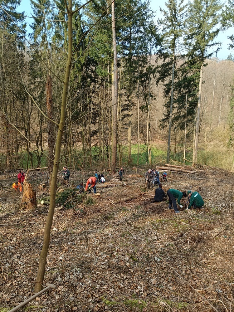 400 Bäume gepflanzt!